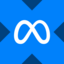 Meta xStock icon