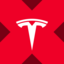 TSLA xStock icon